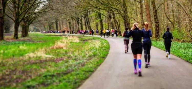 Spring runs in the Netherlands – March